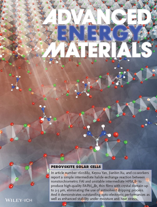 07072017XU Jianbin paper Frontispiece