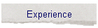 Experience