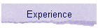 Experience